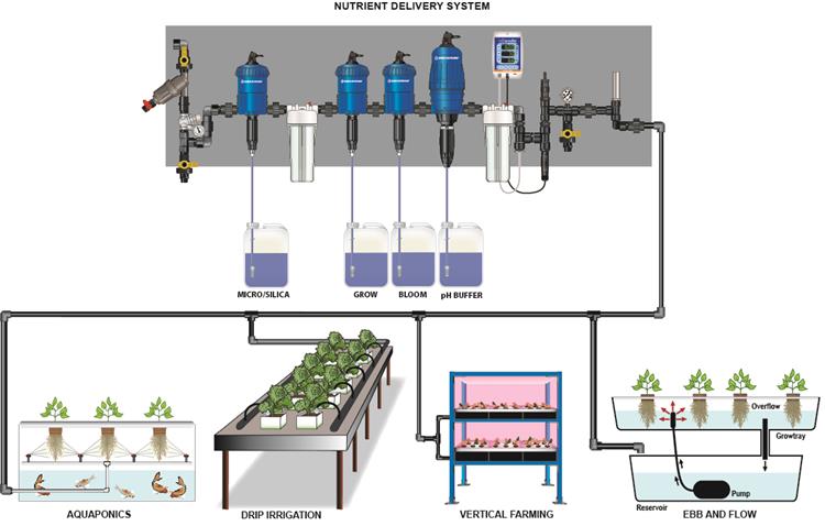 Dosatron Injector