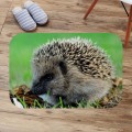 Bath Mats hedgehog Anti Slip Bathroom Mat Suede Floor Bath Mat Washable Toilet Rugs Custom Kitchen Carpet