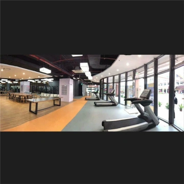 Easy Installation Pvc Gym Room Flooring China Manufacturer