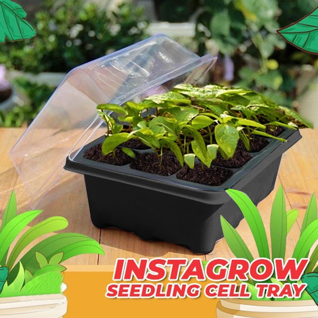 12 Holes Plastic Nursery Pots Plant Germination Tray Planter Flower Pot With Lids Hydroponic Seeds Grow Box Seedling Tray