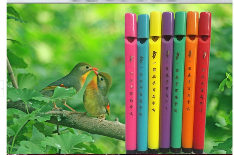 New toys magic Birdcall Whistle toy education musical instrument Children's Mini Bird Flute Kinds Of Bird Voice Toys Kid Gift