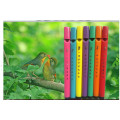 New toys magic Birdcall Whistle toy education musical instrument Children's Mini Bird Flute Kinds Of Bird Voice Toys Kid Gift