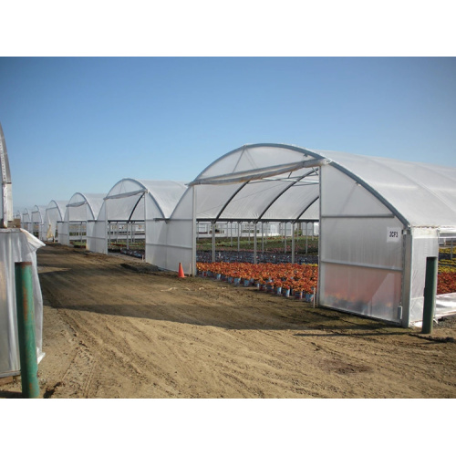 Material Frame single-span arch tunnel greenhouse Manufacturers and Material Frame single-span arch tunnel greenhouse Suppliers