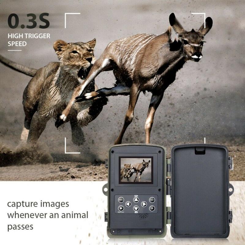 HC801A Hunting Camera Trail Camera IP65Photo Traps 940nm 1080P 16MP 0.3s Waterproof Wildlife Camera Photo Trap Camera