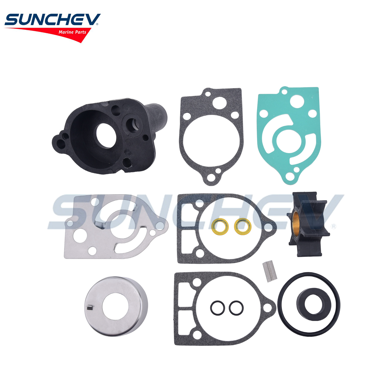 46-60366A1 Water Pump Kit