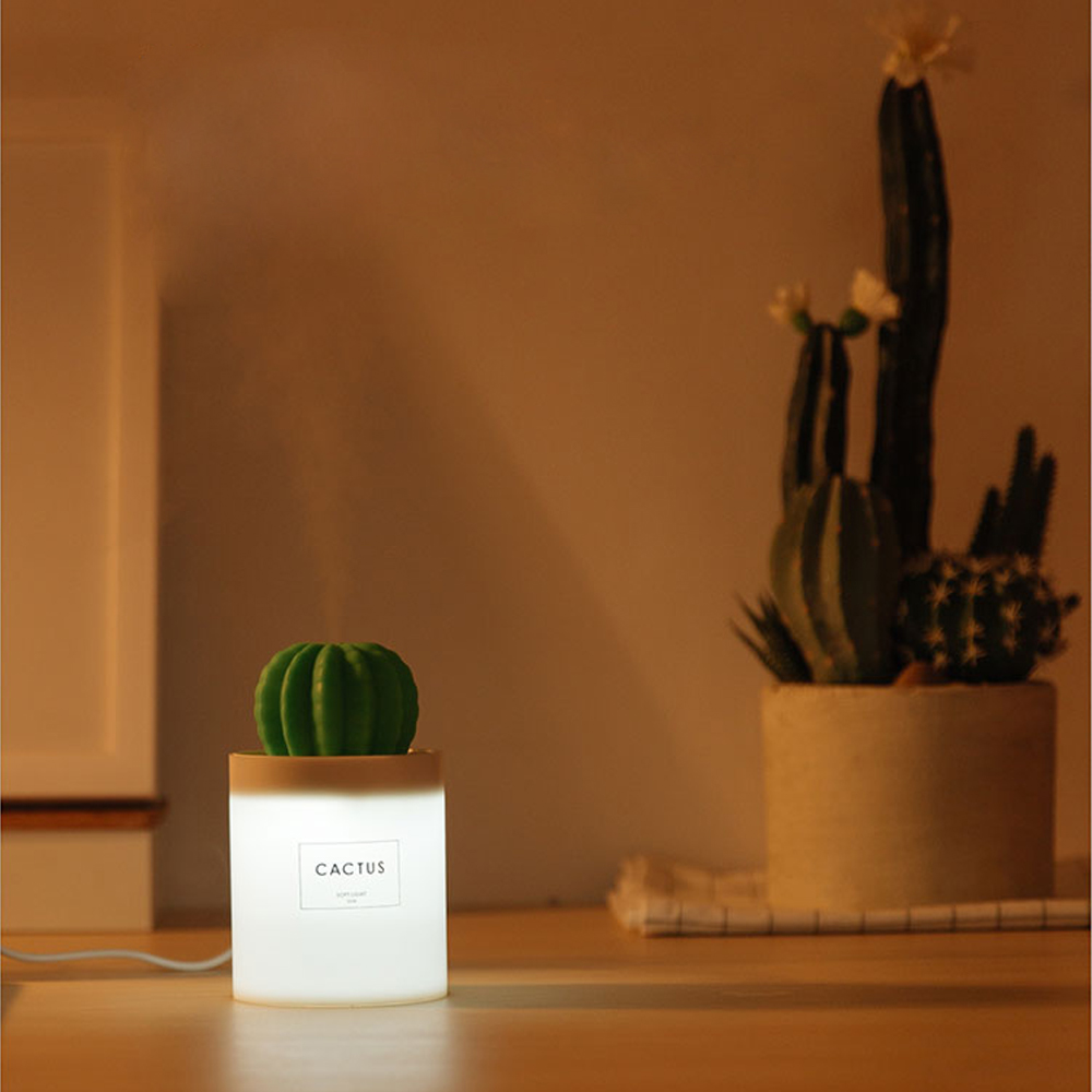 3life Cactus Humidifier Mini Desktop USB humidifier portable Mute Car Mounted for Home and Office Use Air Purification