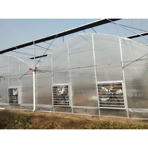 Agricultural Low Cost Plastic Film Covered Greenhouse Manufacturers and Agricultural Low Cost Plastic Film Covered Greenhouse Suppliers