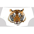 Tiger car sticker
