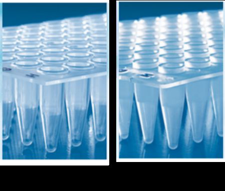 PCR plate