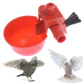 Bird Feeder Poultry Automatic Drinking Water Bowl Animal Supplies For Chicken Hens Quail Birds Feeder Husbandry Tools Drinker