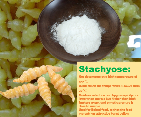 Stachyose Attribution