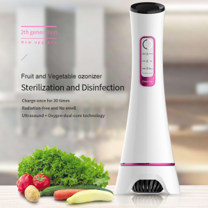 Kitchen vegetable fruit washer ozone ultrasound cleaner