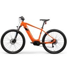 Customized Electric Bicycle On Sale