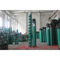 250QJ Agricultural Submersible Water Pump For Bore Hole