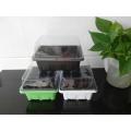 5/10Pcs Sprouting Trays Planting Seedling Trays Germination Trays Crop Cultivation Trays Succulent Plant Plate