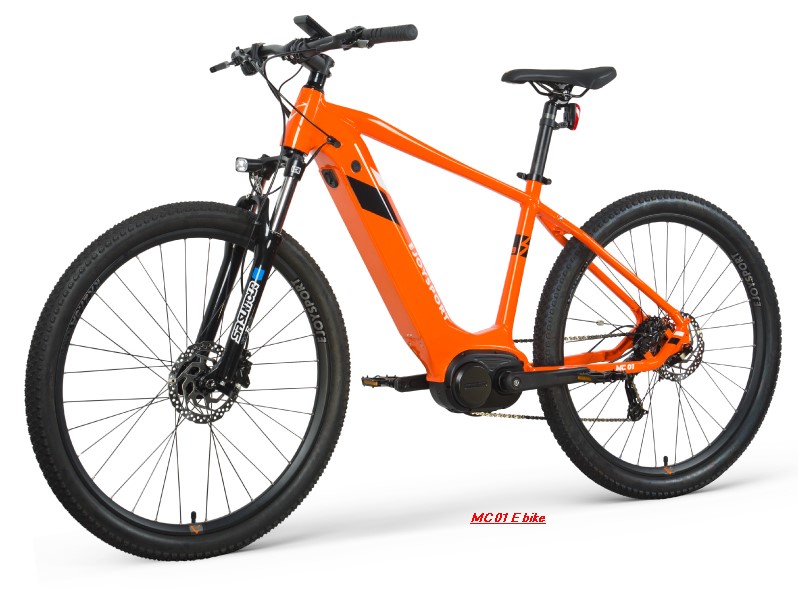 E Mountain Bike