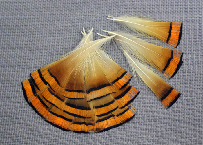 200pcs/lot 4-9cm brown real natural golden pheasant tippet feathers plumage for jewelry accessories craft making bulk sale