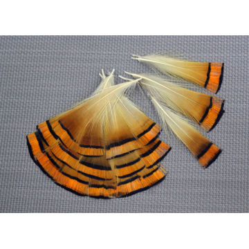 200pcs/lot 4-9cm brown real natural golden pheasant tippet feathers plumage for jewelry accessories craft making bulk sale