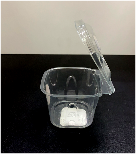 Plastic Mini Blueberries Container
