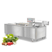 Industrial vegetable washer Fruit and veg washing machine