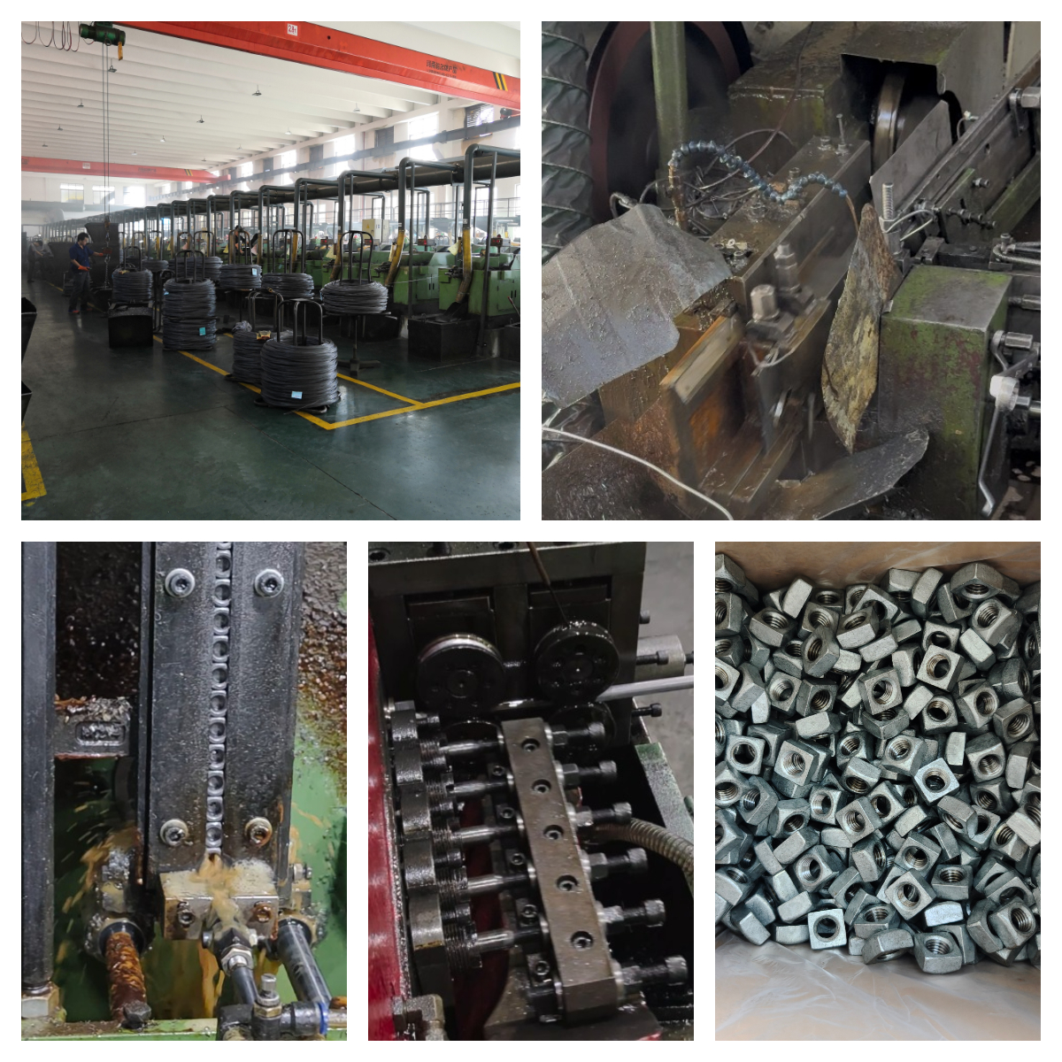 square nut production