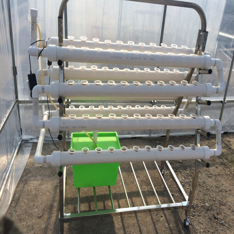 Hydroponic system