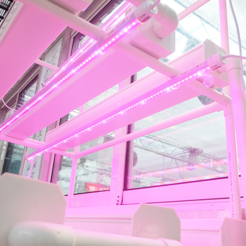 NFT Hydroponic System for home with led Manufacturers and NFT Hydroponic System for home with led Suppliers