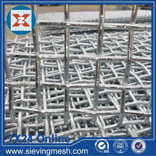 Crimped Wire Mesh Screen wholesale