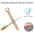 2 Pieces Pocket Titanium Warehouse Toothpick Holders Waterproof Multi-function Fruit Fork for Outdoor Picnic and Camping