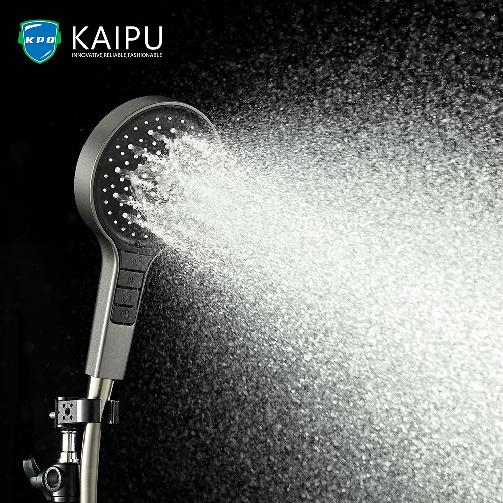 HANDHELD SHOWER (5)