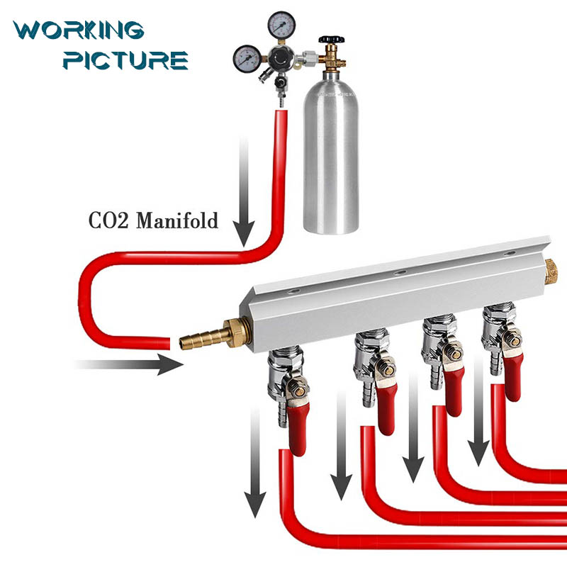 CO2 Distributor Manifold, 9mm Hose Barb 4 Way Beer Gas Manifold Splitter with Check Valves Beer Kegerator Home Brew Accessories
