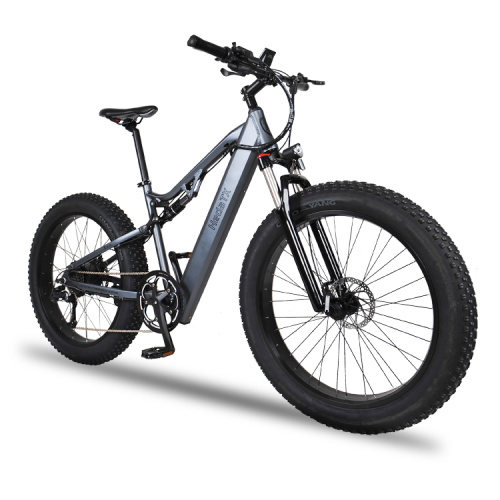 Low carbon Electric Fat Tire Bike Manufacturer Low carbon Electric Fat Tire Bike from China