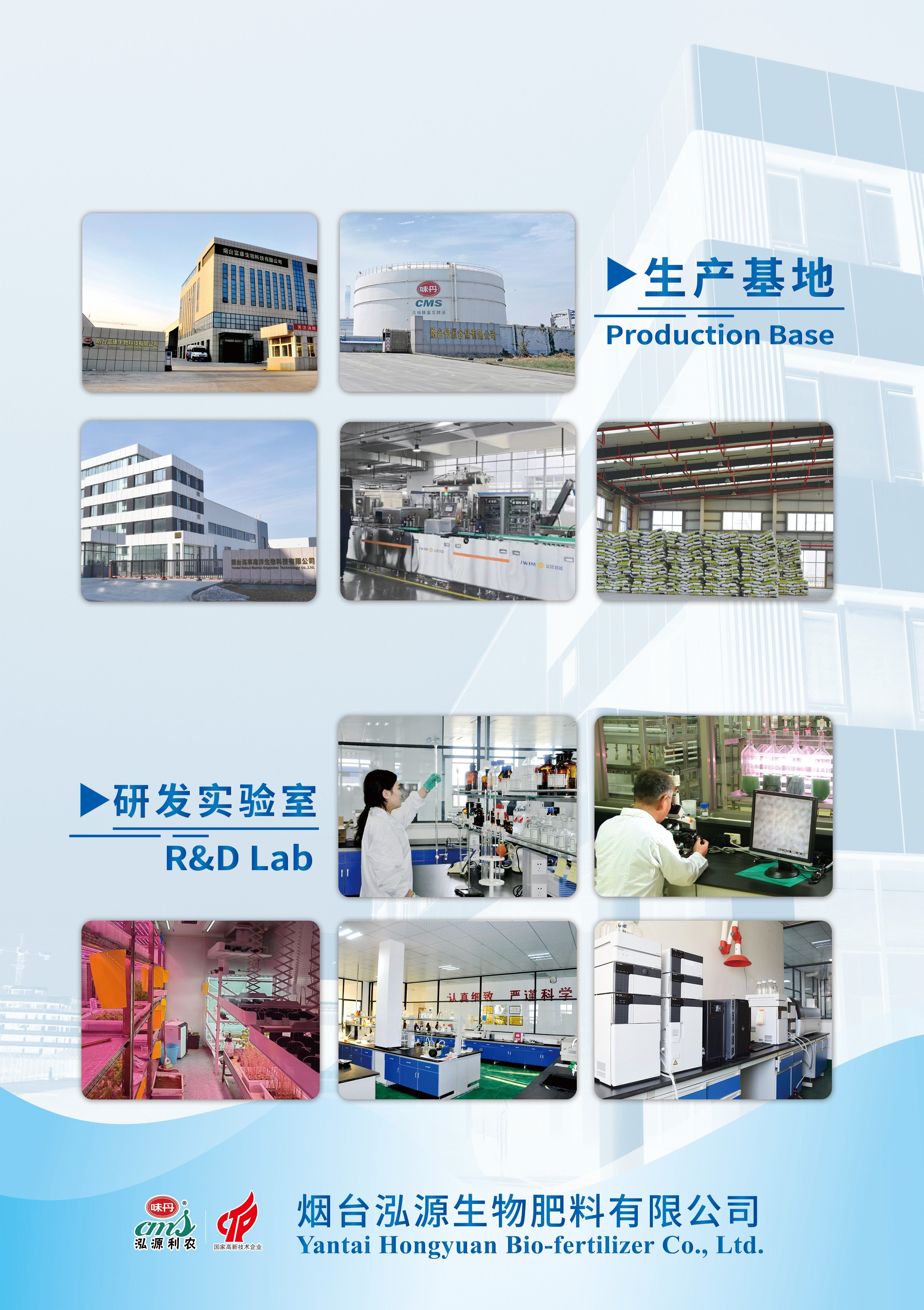 company