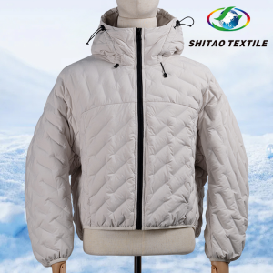 Shuttle Weave Integrated Direct‑Fill Down Channel Fabric