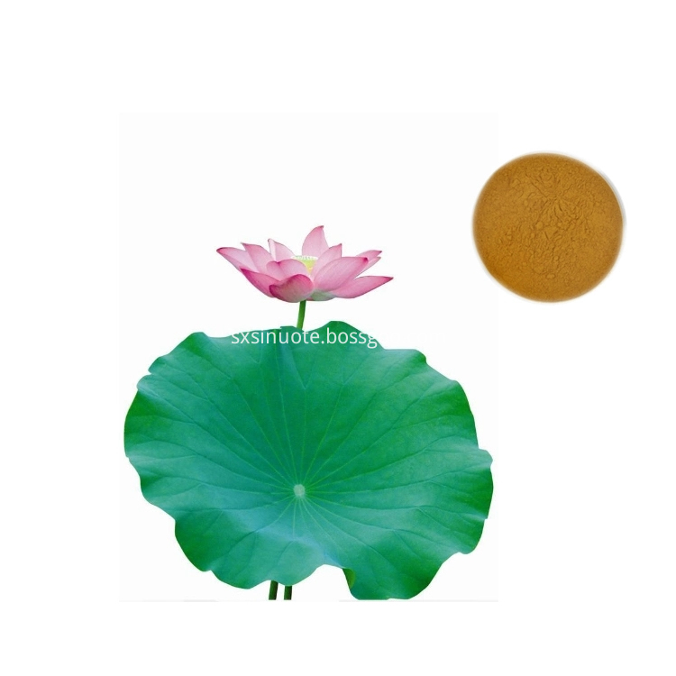 Lotus Leaf Extract