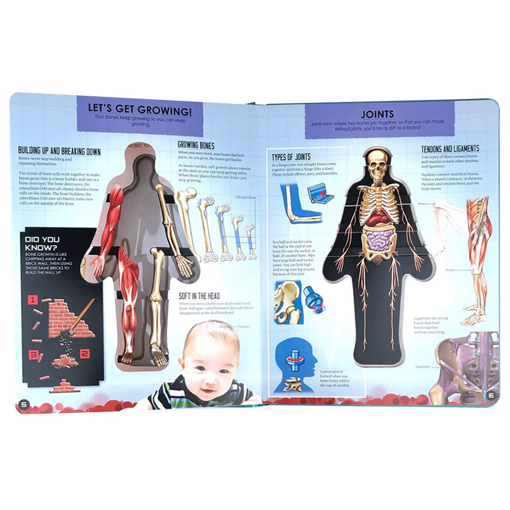 3D Picture Human Body Structure Book Anatomy Science Cognitive Reading Children Early Educational Books Kids Toys Random Cover