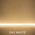 Day White