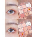 New Transparent 9 Color Acrylic Eyeshadow Palette Waterproof Pearlescent Matte Earth Color Glitter Eye Shadow Eye Makeup TSLM2