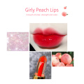 Jelly Lip Gloss Peach Pink Lipstick Matte Velvet Lip Stick Moisturizing Red Makeup Lipgloss Waterproof Long Lasting Cosmetics