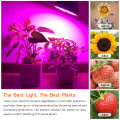 Leds Grow Light Full Spectrum 8W-80W E26/27 Led Plant 18-120LEDs Growing Lamps Light Bulbs Greenhouse Indoor Garden AC85-265V