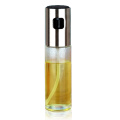 100ML Leakproof stainless steel olive oil sprayer oil spray bottle kitchen seasoning soy sauce barbecue bottle MJ1111