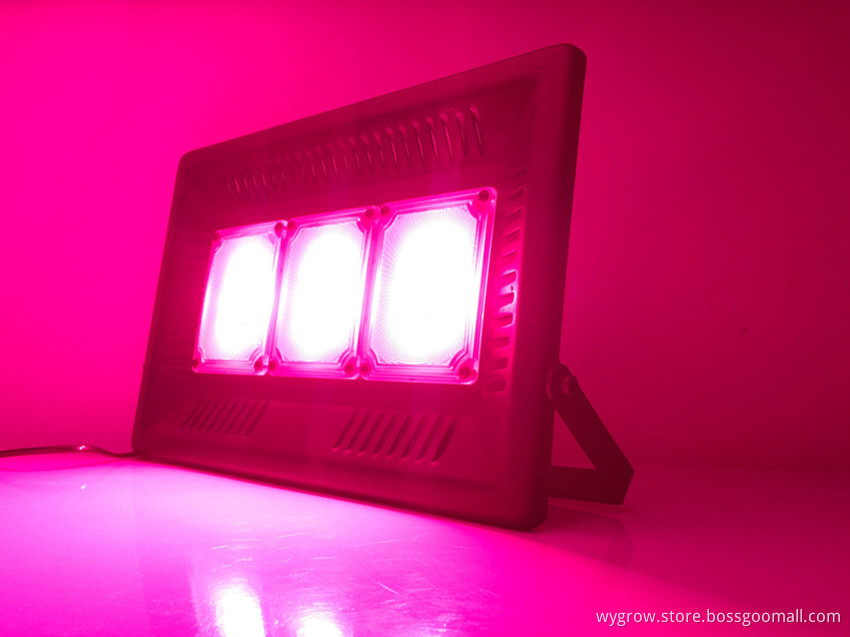 IP67 Waterproof Cob Grow Light 450W Full Spectrum