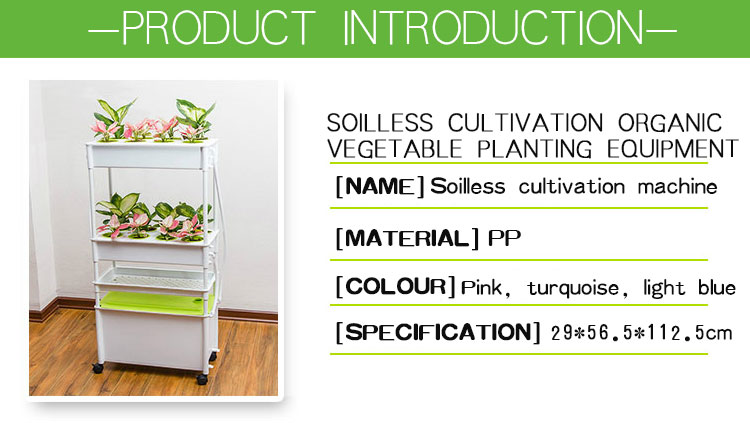 hydroponic system 3