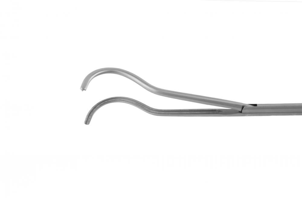 Curved Dissecting Forceps