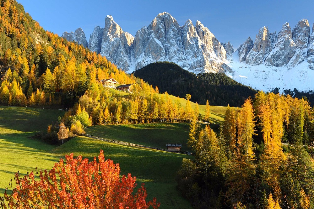 Home decoration Forest Val Gardena Mountains Dolomites Autumn Italy Meadow Alps Silk Fabric Poster Print MC863
