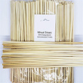 100pcs/Set Natural Wheat Straw 100% Biodegradable Straws Environmentally Friendly Drinking Straw Bar Kitchen Dropshipping