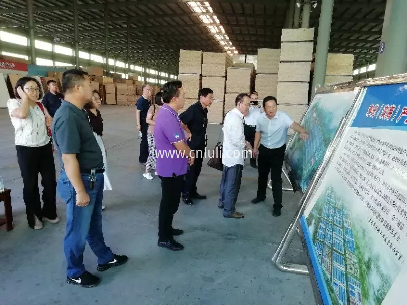 luli group plywood luli group plywood