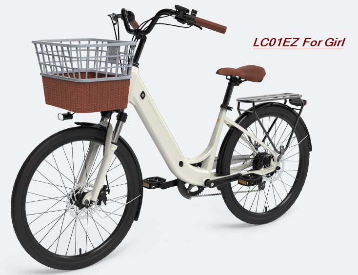 Swagtron Bike