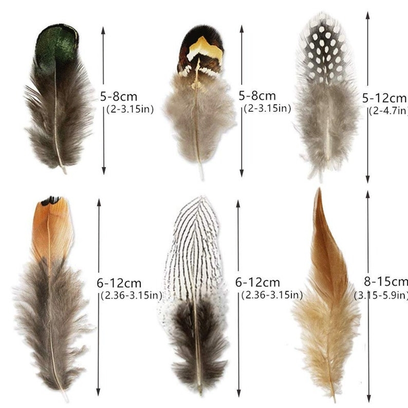 24PCS Natural Pheasant Turkey Feathers for Carfts Jewelry Clothing Making Decorative Rooster Plumes White Wholesale 6-13CM