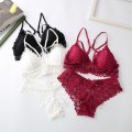 Women Lace Bra Sets Seamless Underwear Backless Sexy Panties Lingerie Set Padded Bralette Female Intimates